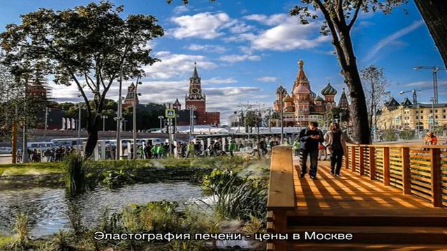 Эластография печени - цены в Москве смотреть онлайн