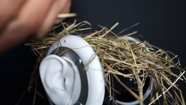 8 Triggers to Make You Sleepy ✨? смотреть онлайн