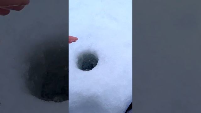 ОКУНЁВЫЙ ЛИФТ на БЕЗМОТЫЛКУ! Зимняя рыбалка на Чебоксарке. Ловля окуня в январе 2023. #Shorts смотреть онлайн