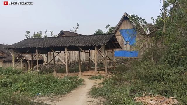Kehidupan Damai di Desa Terpencil Suku Jawa Pedalaman Hutan Jati, Serasa Tahun 1970an смотреть онлайн
