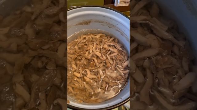 Уборка: лучший подарок для дома