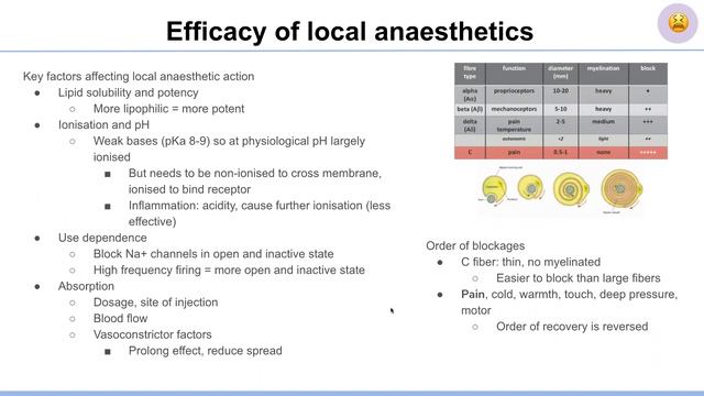 Year 1 MIPSxMUMUS SWOTVAC Revision Lecture: Pharmacology смотреть онлайн