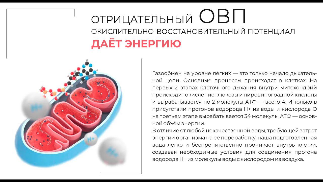 Система фильтрации и водоподготовки FoBionica | Ильнур Айсулов смотреть онлайн