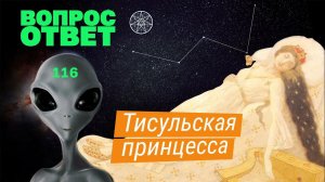 #116 Тисульская принцесса: следы древних цивилизаций. Загадки истории захоронения.