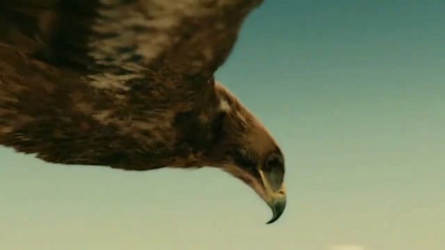 Орёл Гаруда смотреть онлайн