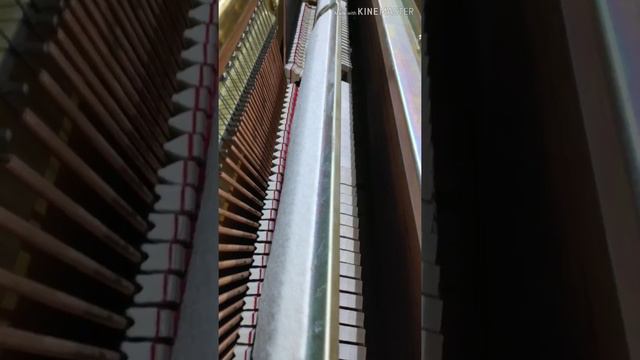 Croatian Rhapsody - Asian Plays Piano in Community Centre смотреть онлайн