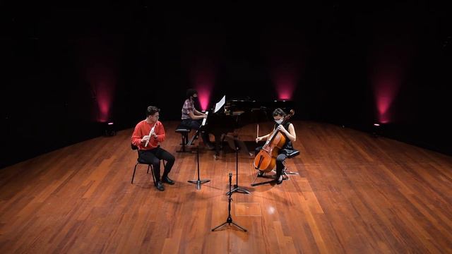 C.M Weber – Trio for Piano, Flute and Cello in G minor, op.63 - 1. Allegro moderato — Léo Hunt смотреть онлайн