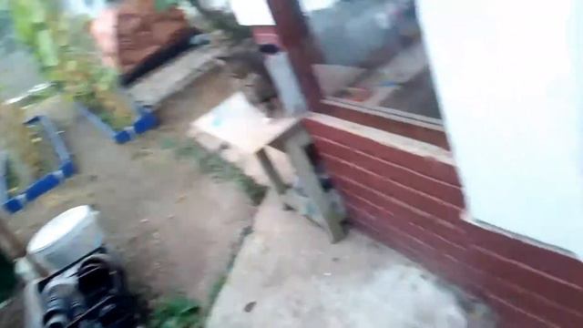 Просто большой ролик на пончик рамашончик смотреть онлайн