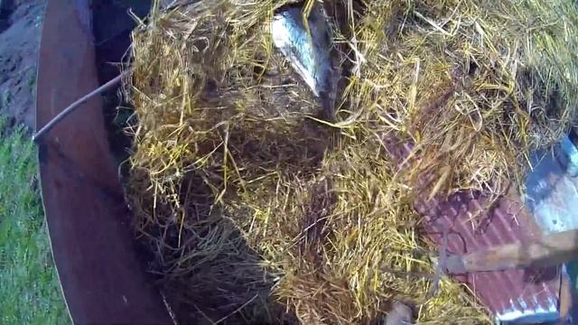 Огуречная грядка смотреть онлайн
