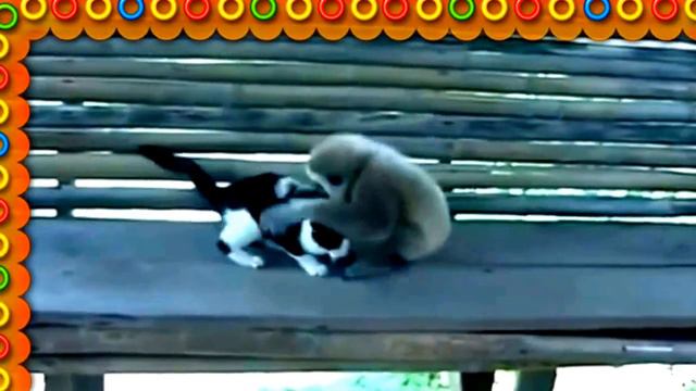 Смешные ролики,приколы " Дети и животные " -Funny videos.Funny videos,jokes " Children and animals смотреть онлайн