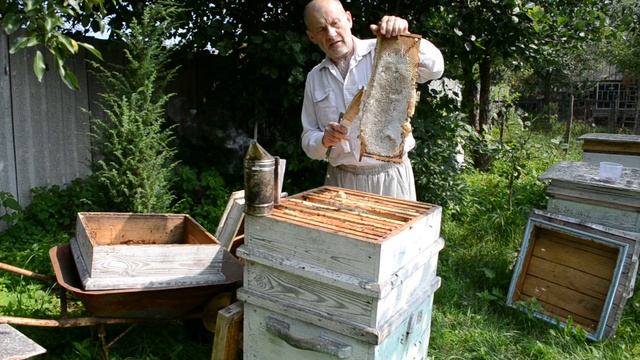 СБОР ПРОПОЛИСА И ОТКАЧКА МЕДА НА ПАСЕКЕ. смотреть онлайн