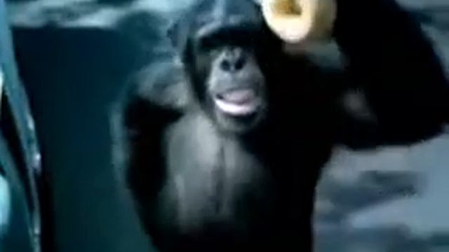 Trunk monkey advertisement compilation смотреть онлайн