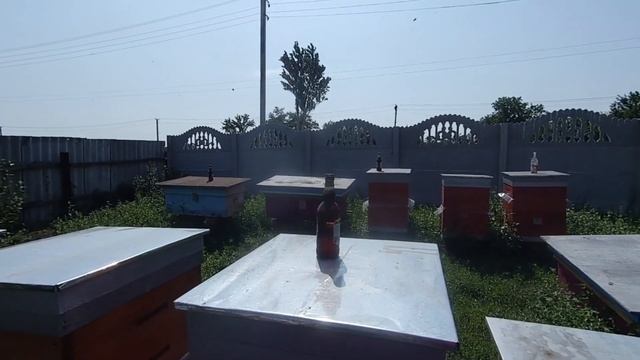 Самодельные ловушки для ос смотреть онлайн