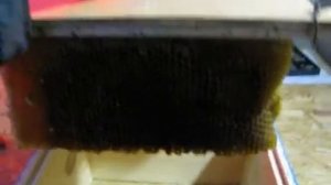 Простейший и удобный привой для ловли беглых / диких роёв под улей аббата Эмиля Варрэ