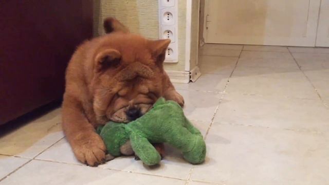 Одна игрушка на двоих - grandmother and granddaughter смотреть онлайн