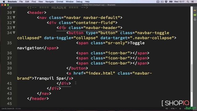 Wordpress development course Bootstrap Theme Part 3 смотреть онлайн
