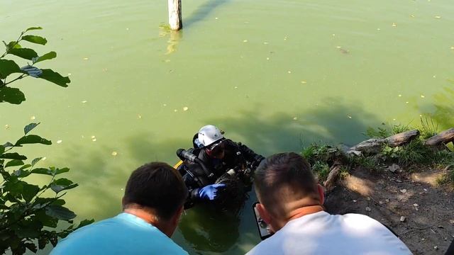 Очень грязный пруд и водолаз смотреть онлайн