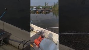 Легант-340