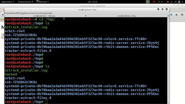 Comment exploiter la faille ImageTragik CVE-2016-3714 смотреть онлайн