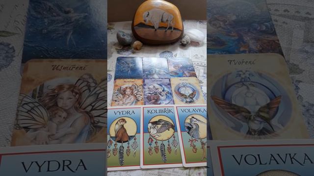strelec - vyklad na 14 dni 17.6.2022 смотреть онлайн