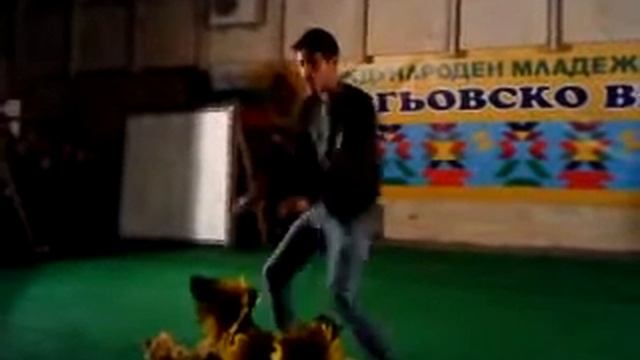 фул денс - читалище Кремиковци 5.5.2011 (3).MP4 смотреть онлайн