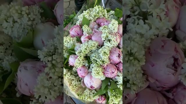 Огромный букет из голландских пионов и белой сирени! Для заказа переходите по ссылке в комментариях смотреть онлайн