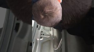 Замена эмблемы vw открывания багажника