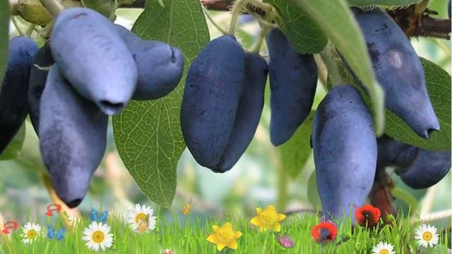 Строительные Идеи