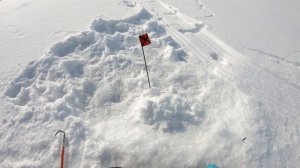 Ловля крупного Леща на чёртика. Безмотылка. Catching large Bream on the devil