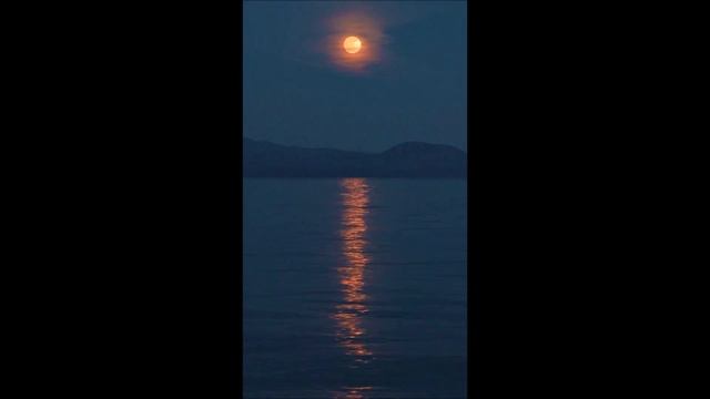 белый шум, звуки ночи на берегу под прекрасной луной смотреть онлайн