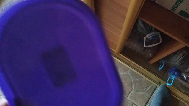 Как правильно собирать и хранить инкубационные яйца/ ЛИВЕНСКАЯ СИТЦЕВАЯ смотреть онлайн