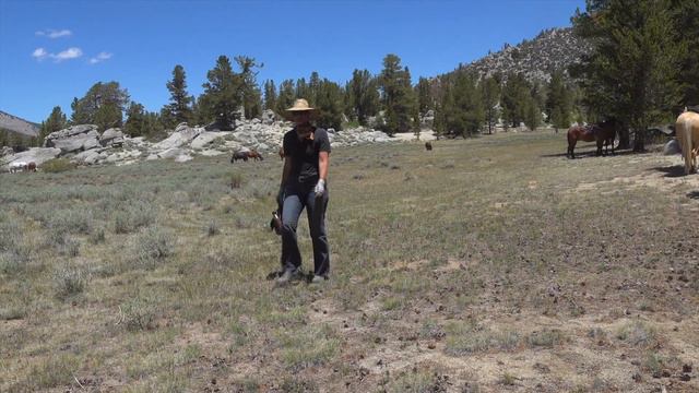 Weekend TV worth watching! Ride the Rock Creek Horse Drive on a full episode of TWW! смотреть онлайн