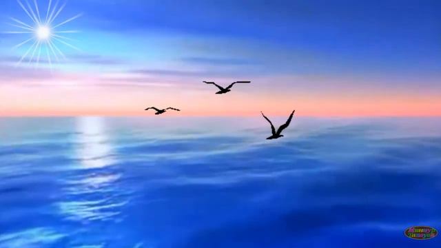 НУРИСЛАМ И АЛИНА . Эзлэмэ син мине... Не ищи ты меня... Автор видео: Миннур Тахаува смотреть онлайн