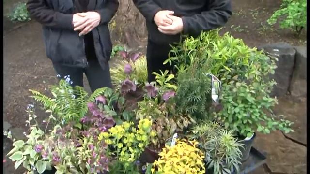 Plants for Shade смотреть онлайн