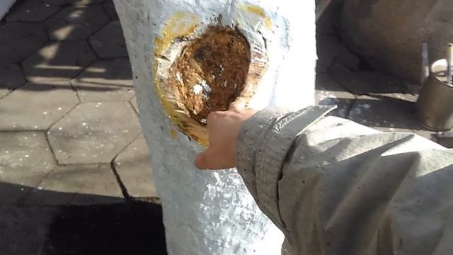 Лечение старой яблони. Спасаем дерево. смотреть онлайн