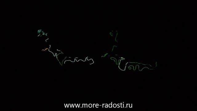 Неоновое шоу на праздник смотреть онлайн