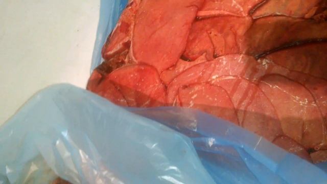 Чем лучше кормить Мейн-кунов и не быть жадным жлобом The better to feed Maine coons смотреть онлайн