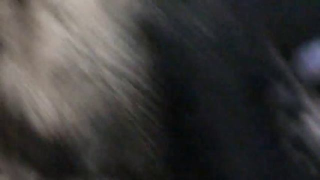 Sony HDR-CX100 file upload test, SD смотреть онлайн