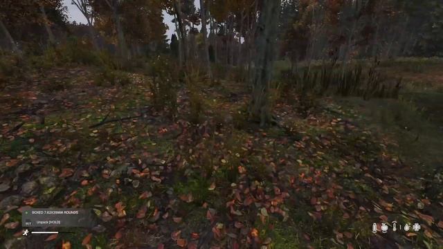 ЛУЧШИЙ ГАЙД по DayZ(Game Preview)XBOX для новичков про ОРУЖИЕ! смотреть онлайн