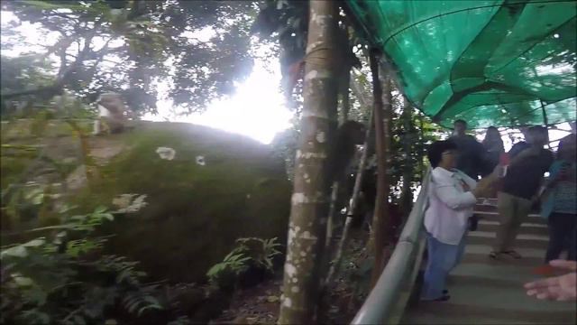 Monkey on big Budda Таиланд Пхукет Обезьяны на Биг Будда смотреть онлайн