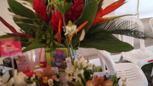 Emprendimiento SANGARDEN Comuna Llano Grande смотреть онлайн