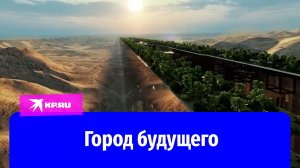 В пустыне строят город будущего длиной 170 километров