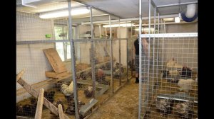 Устройство помещений для кур. Хозяйство Сергея Фоменко.