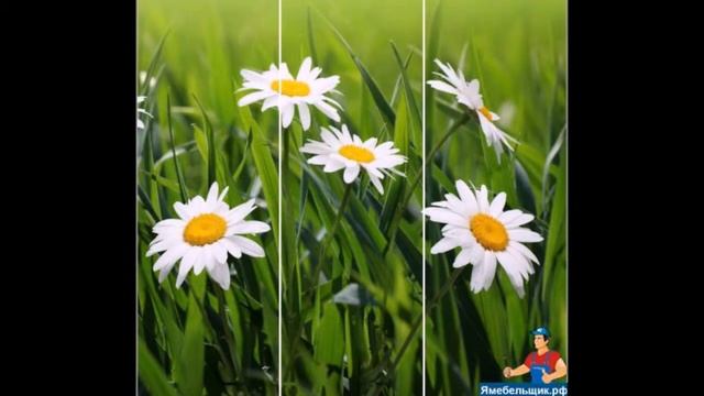 Шкафы купе с фотопечатью от ООО ПКФ Девва С ТМ Линетти смотреть онлайн