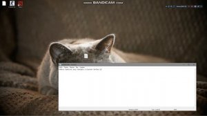 Ошибка CS 1.6: Установка сетевого соединения с сервером, Не удалось соединится с сервером.