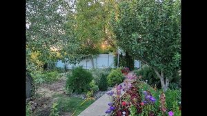 Неделя с HONOR 90 – Все Косяки и Проблемы! Стоит ли покупать?