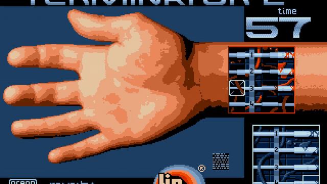 Terminator 2: Judgment Day (MS-DOS), 1991, Ocean Software, Ljn Ltd