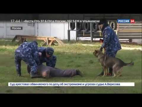 Спецназ тюремного назначения: как готовят бойцов спецподразделения ФСИН