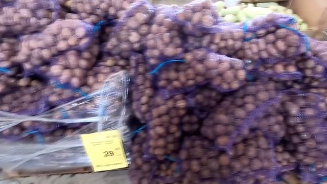 ?В Светофор привезли кабачки, лейки, бочки и другие НОВИНКИ июнь 2022 смотреть онлайн