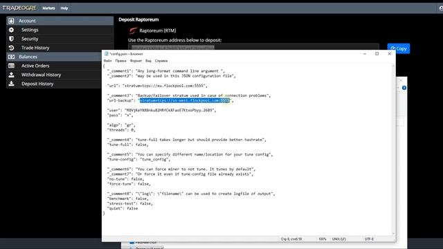 Майнинг Raptoreum на процессоре, настройки в Windows 10 и Hive OS смотреть онлайн